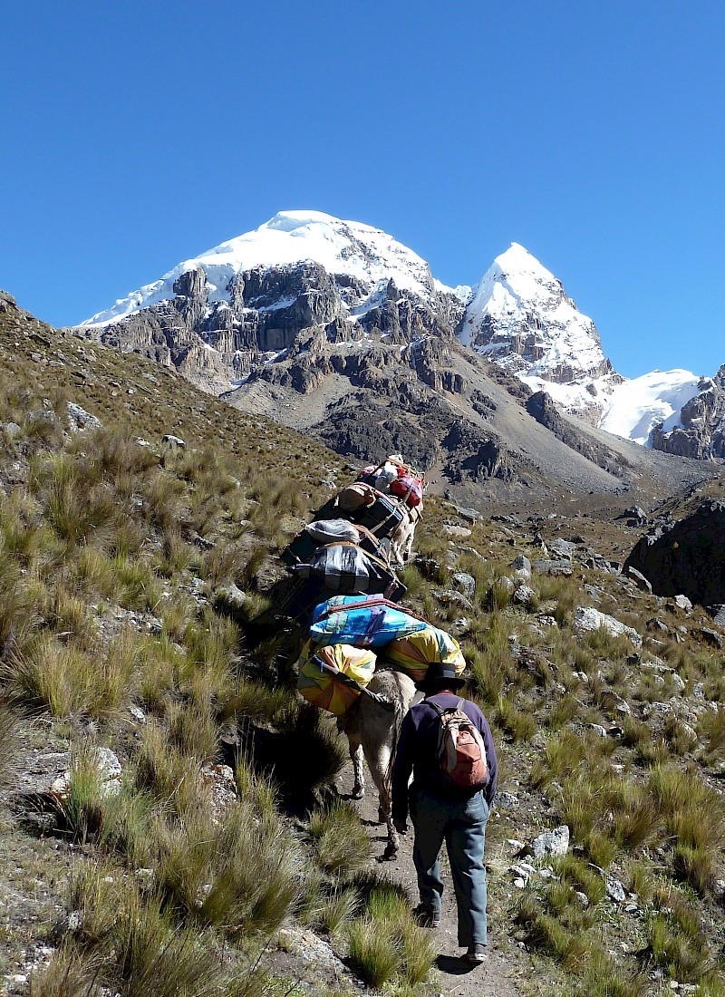 Trekking Cordillera Huayhuash, Peru