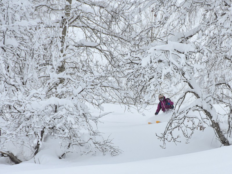 Skitouren Altay Mountain Lodge 2025